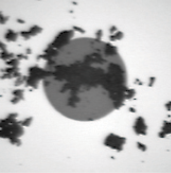 1808cimfiberoptics Photo 2