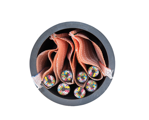 1901cimbicsiproducts Photo 3