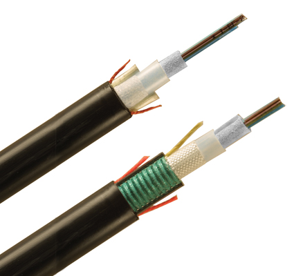 1901ciminnovators Photo 1