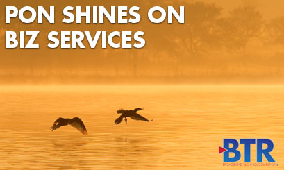 WDM/TDM-PON unveiled