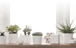 Patented RF technology monitors wireless signals in the home for 'camera-less' security Patented RF technology monitors wireless signals in the home for 'camera-less' security