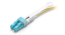 Content Dam Cim En Articles 2014 02 Senko Lc Hd Leftcolumn Article Thumbnailimage File Content Dam Cim En Articles 2014 02 Senko Lc Hd Leftcolumn Article Thumbnailimage File