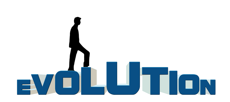 Evol Title 5e3b26c3819e2