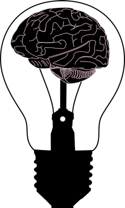 Brain Gdj 5fbc1a4c10a62 Brain Gdj 5fbc1a4c10a62