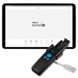 Rapid Id 61fd943365610 Rapid Id 61fd943365610