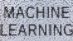 6570f779c23b50001f125fff Dreamstime Xl 100026006 6570f779c23b50001f125fff Dreamstime Xl 100026006