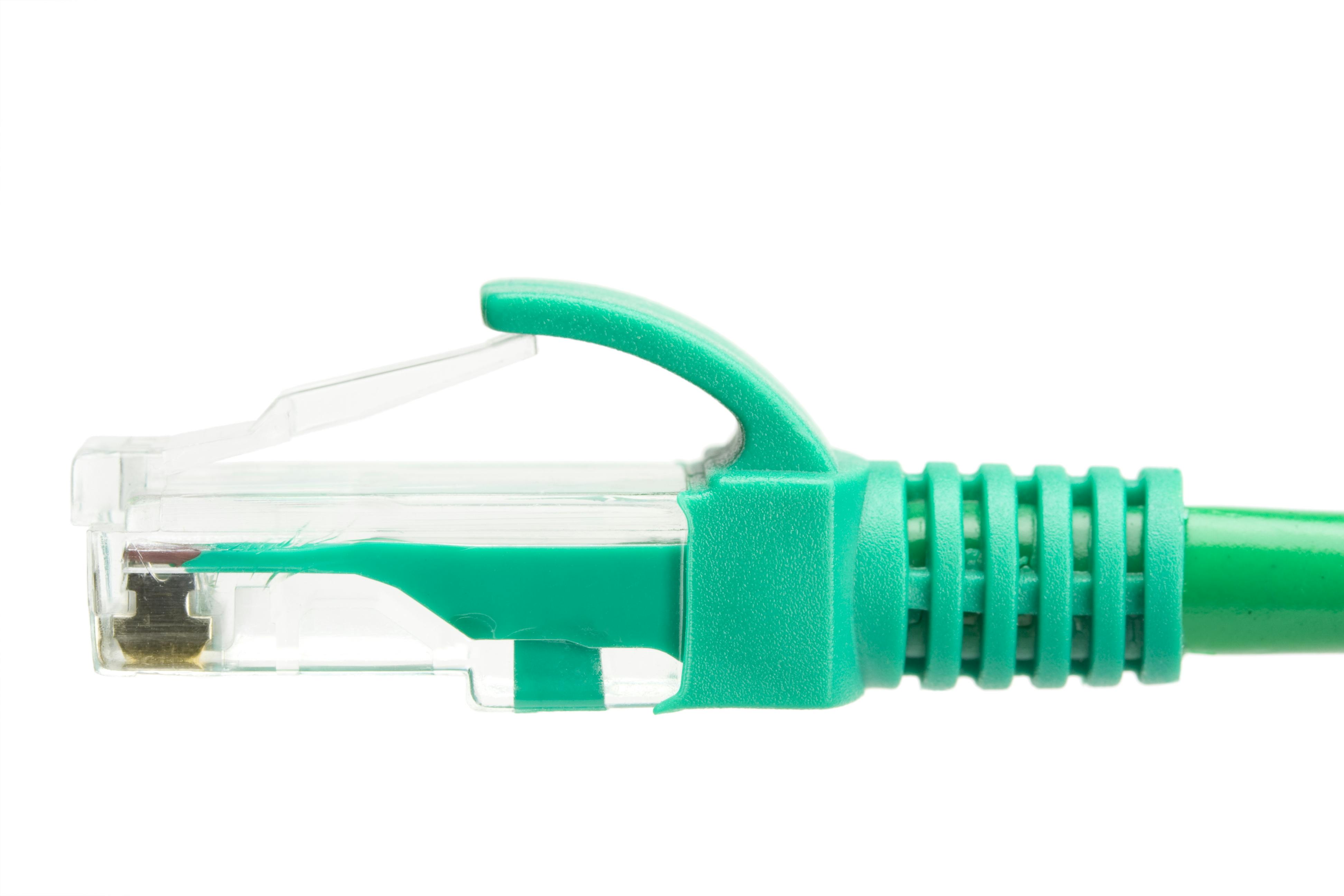 661d81b4e9e87a001e64ebcd Dreamstime Xl 7975472 1