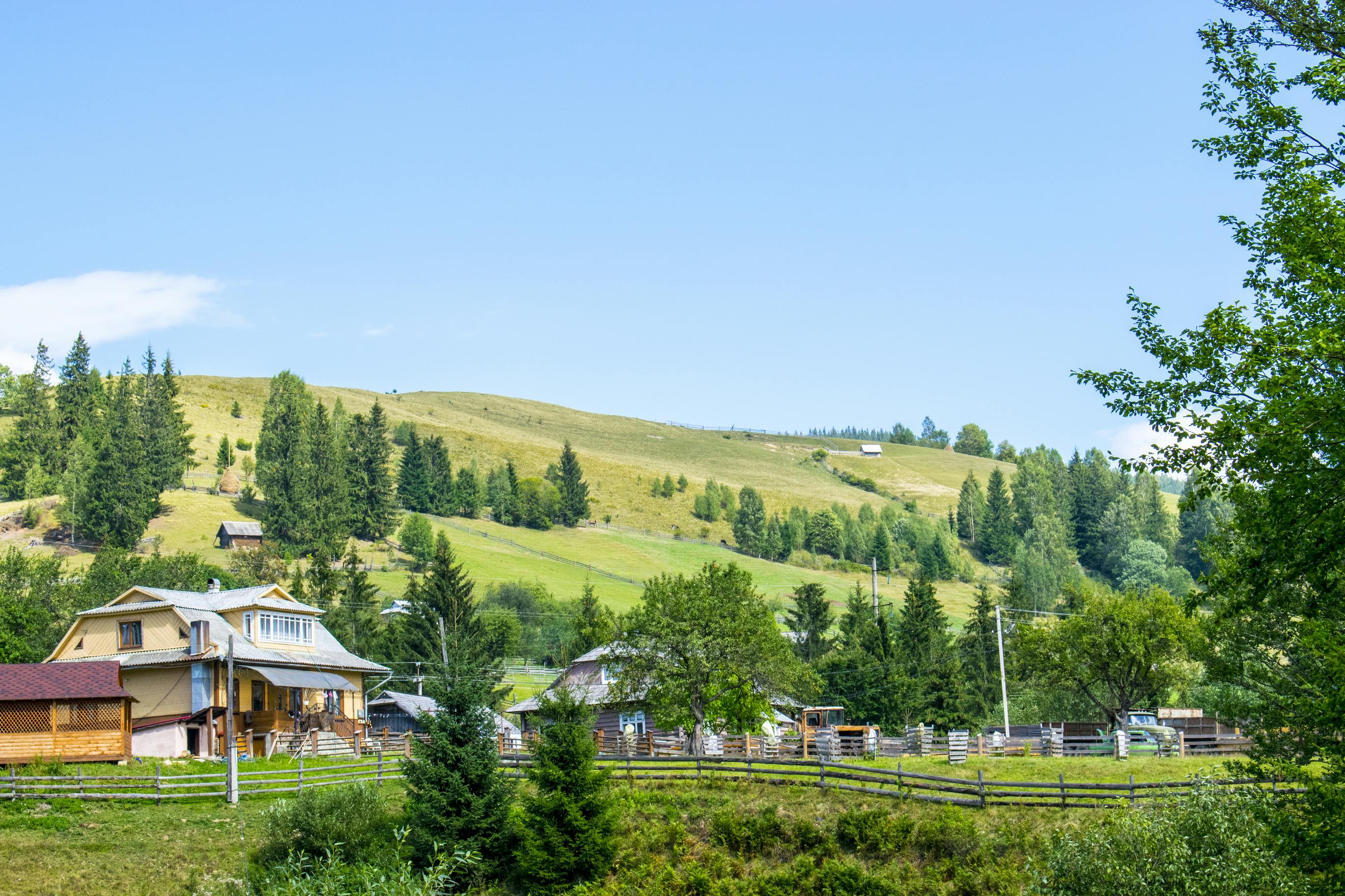 67d47b12ff01a301332d720b Dreamstime L 99528358