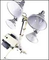 1654735099930 Cex0409spot12