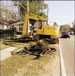 1654735138741 Cex0307m21 1654735138741 Cex0307m21