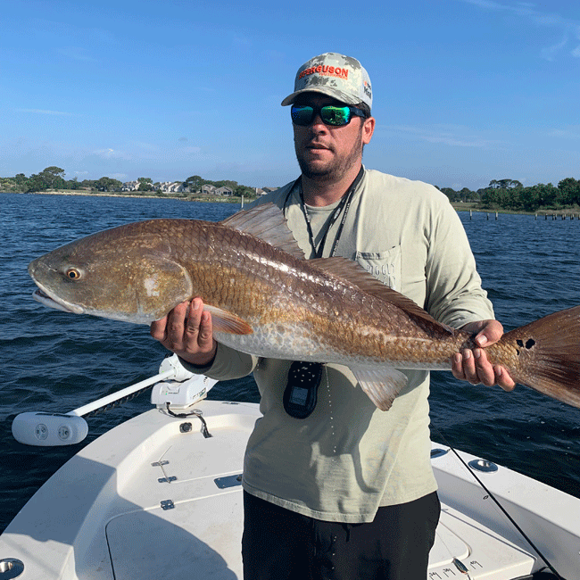 1654747267529 Patrickdavis