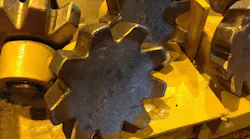 RW - Close Up 2 RW - Close Up 2