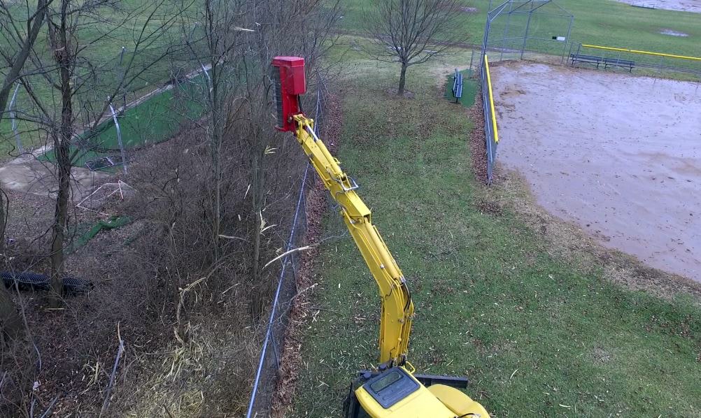 1654802224089 Feconfmxbullhog