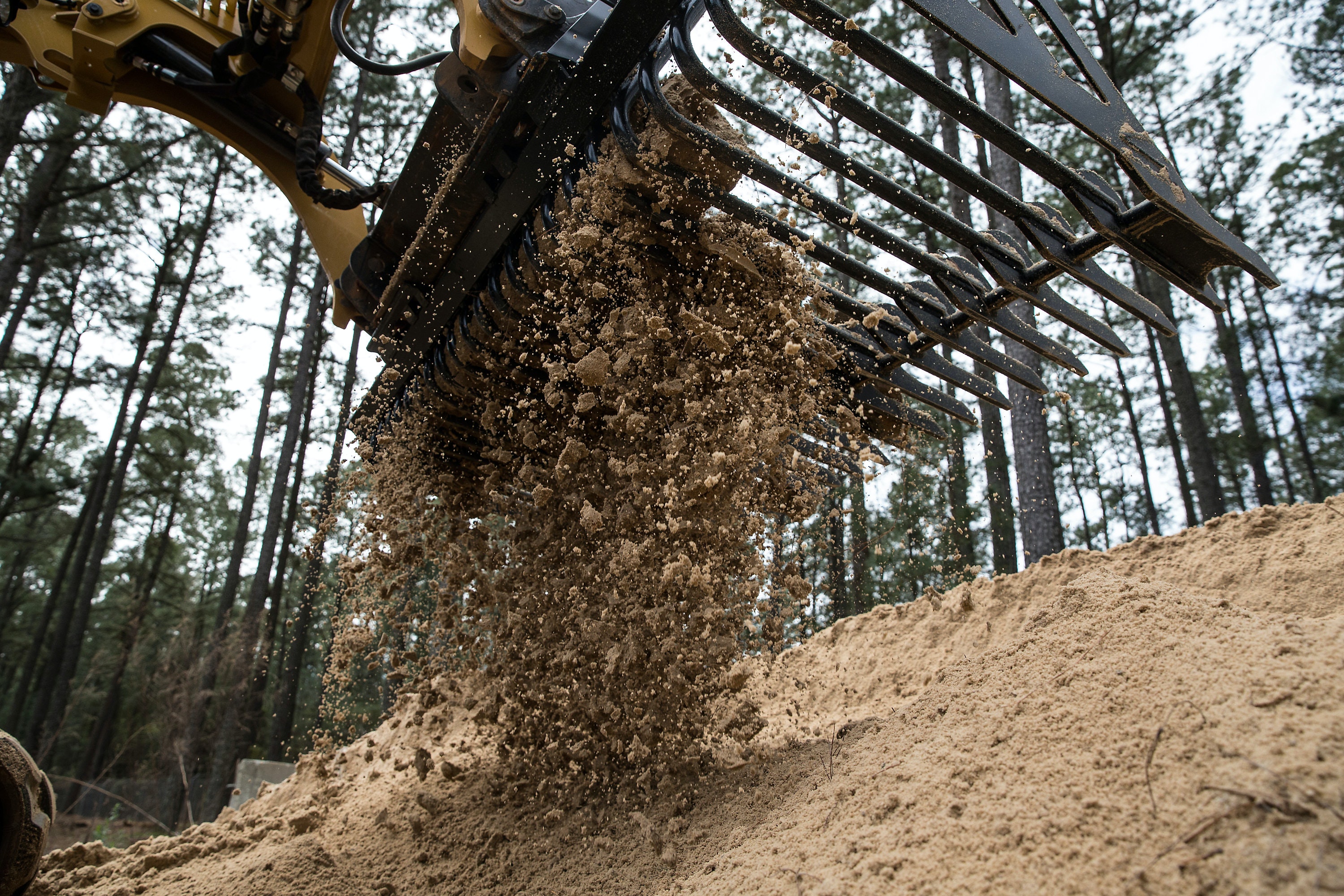 1654810181325 Catskeletonbucket