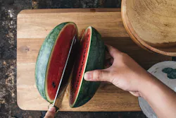 1654813097936 Adobestock 213822763 1654813097936 Adobestock 213822763