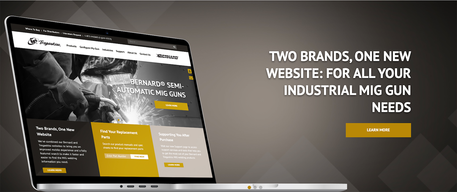 1654814348369 Bernard Tregaskiss Website