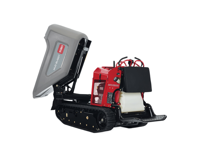 1654814642124 Toromudbuggy 0