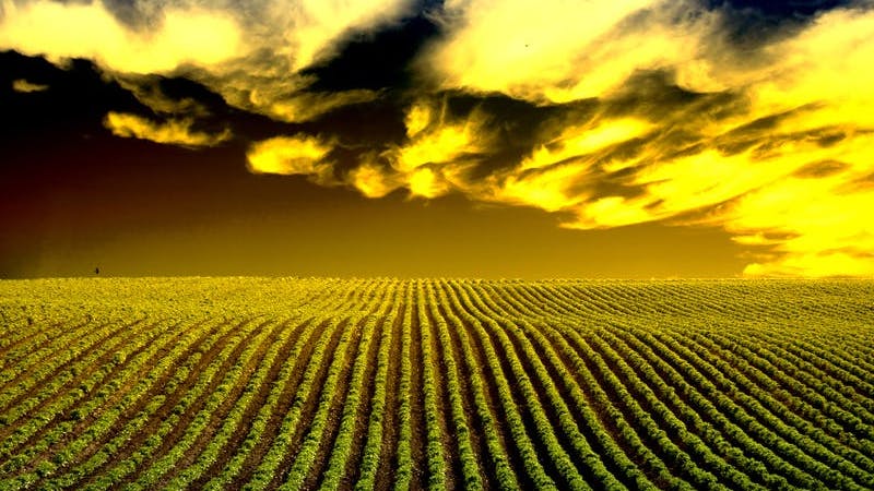 66423665d12ea51cbdf2c551 Dreamstime S 6376100