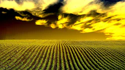 66423665d12ea51cbdf2c551 Dreamstime S 6376100 66423665d12ea51cbdf2c551 Dreamstime S 6376100