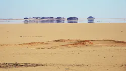 The margin mirage describes job-level margins that are not quite as good as they looked when the job was completed. The margin mirage describes job-level margins that are not quite as good as they looked when the job was completed.