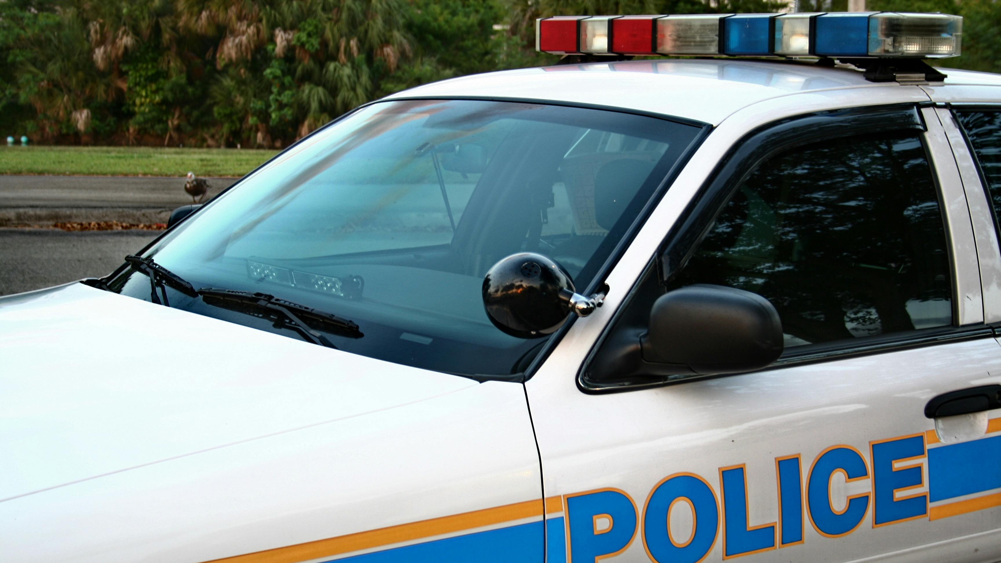 689a2983d41254a8835bd5b7 Police Dreamstime 9031640