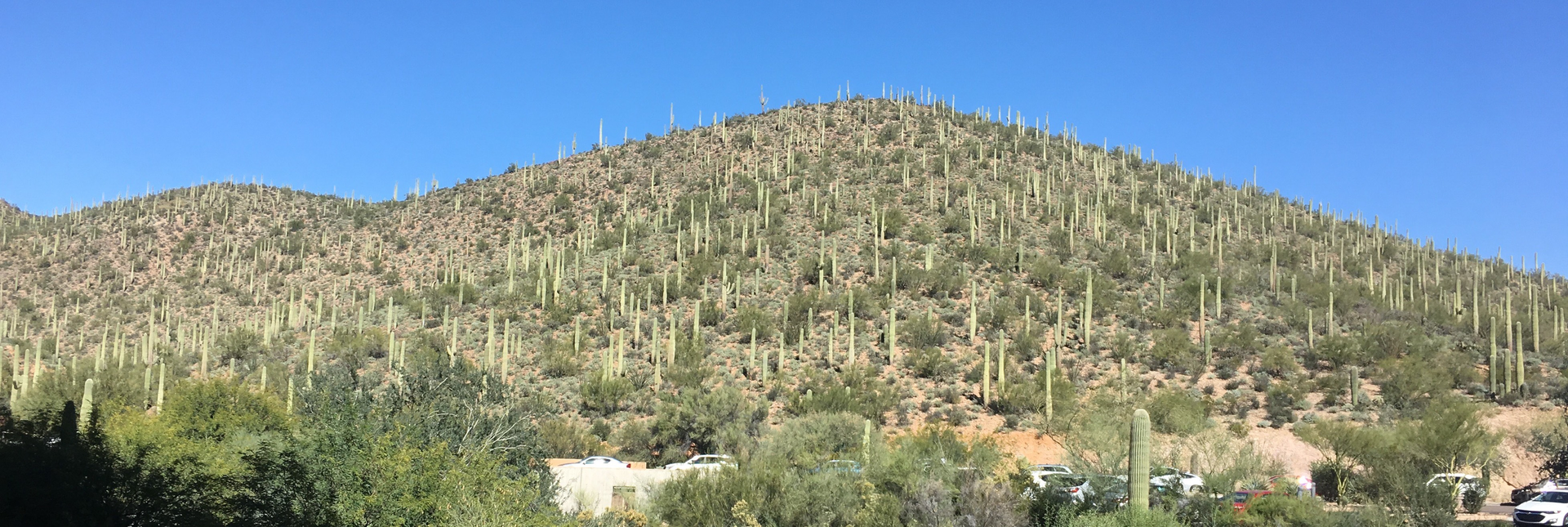 JW Marriott Starr Pass resort