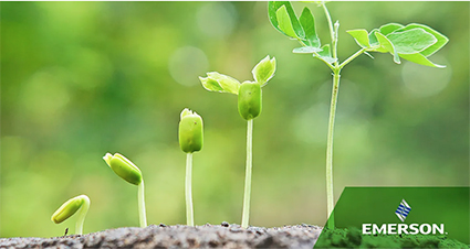 Green Sprouts 5e96023b35f64