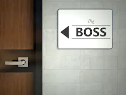The Boss Dreamstime L 36791853 The Boss Dreamstime L 36791853