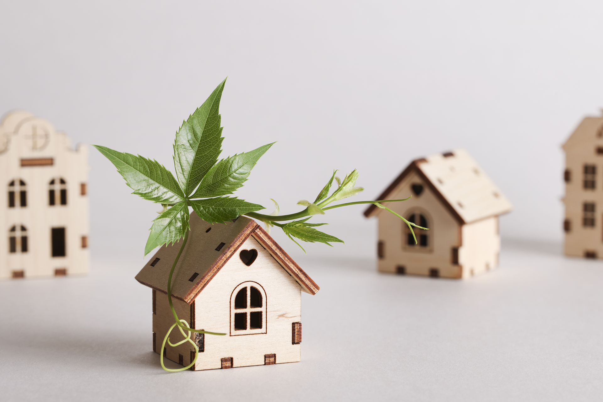 Green Home Dreamstime Xxl 290042454 650d9ff36495c