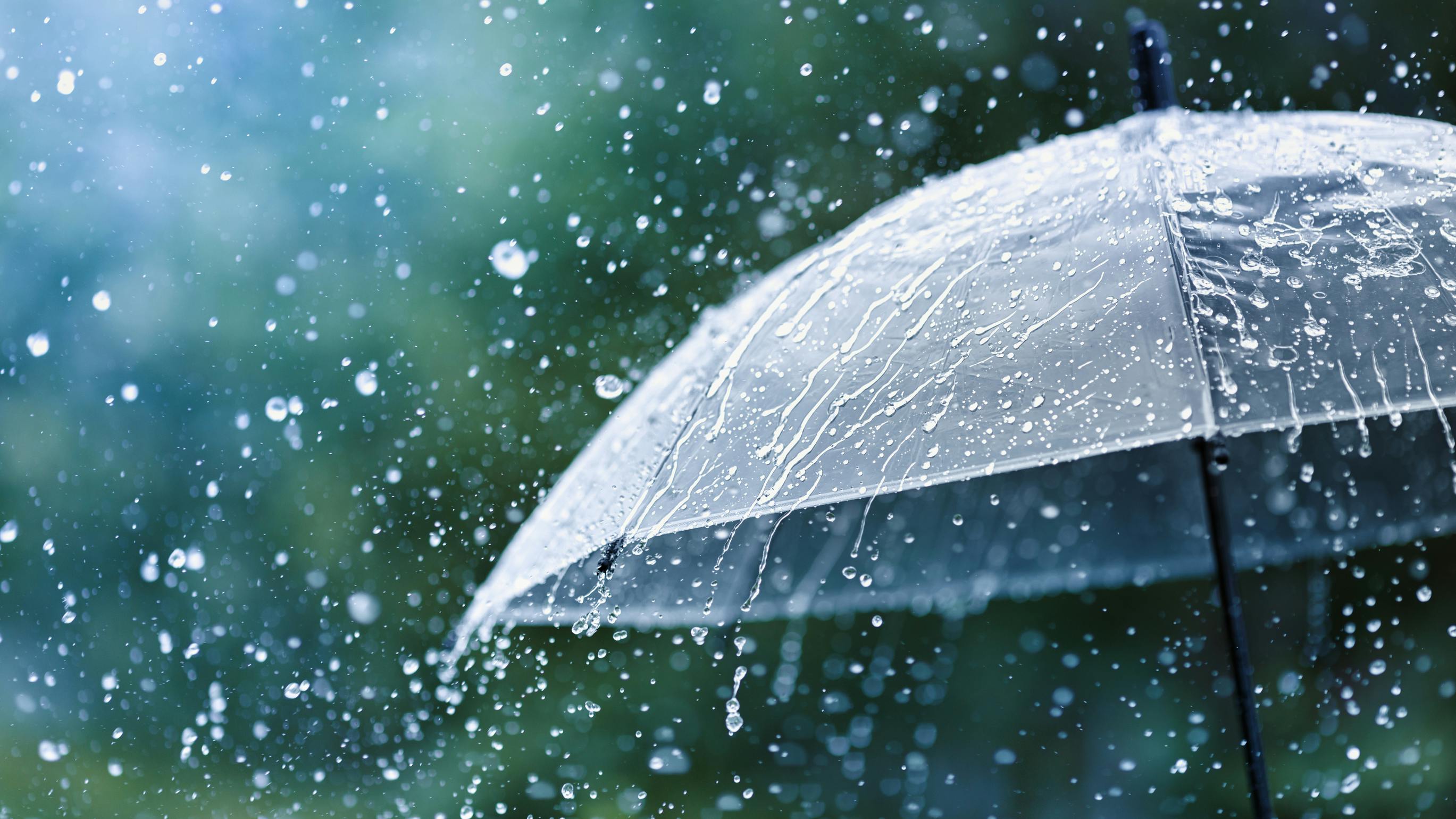 65df77b3dc6137001ecfe884 Rainy Day