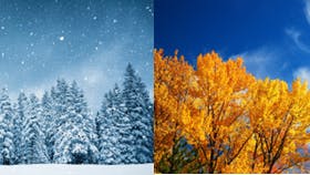 winter_and_fall