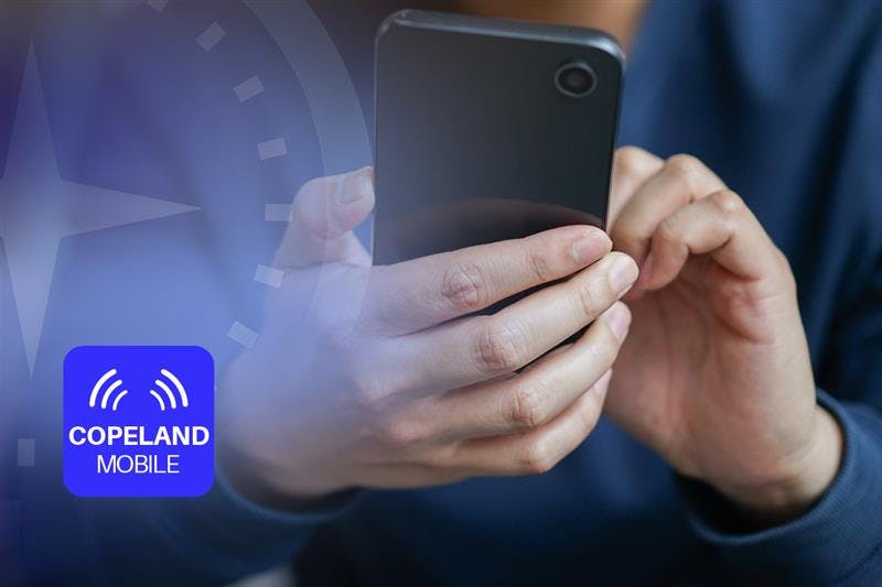 6790427c363b8d760962ef69 Scout Header 1200px X 800px 02