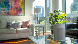 67995c96e691685ae35697c7 Dreamstime Xxl 350891191 67995c96e691685ae35697c7 Dreamstime Xxl 350891191