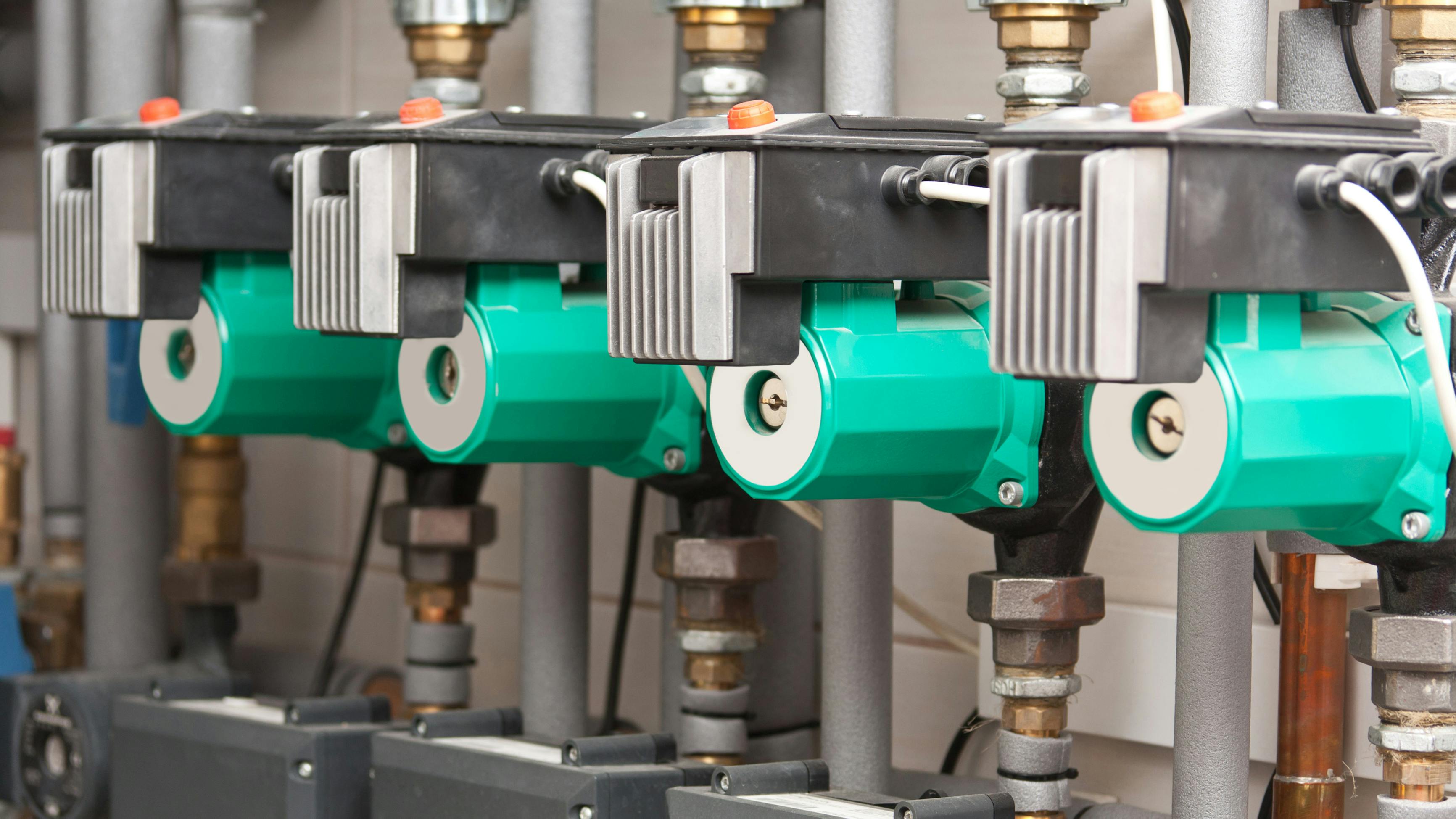 67c5e727dff1a324ea593c04 Dreamstime Xl 21924225