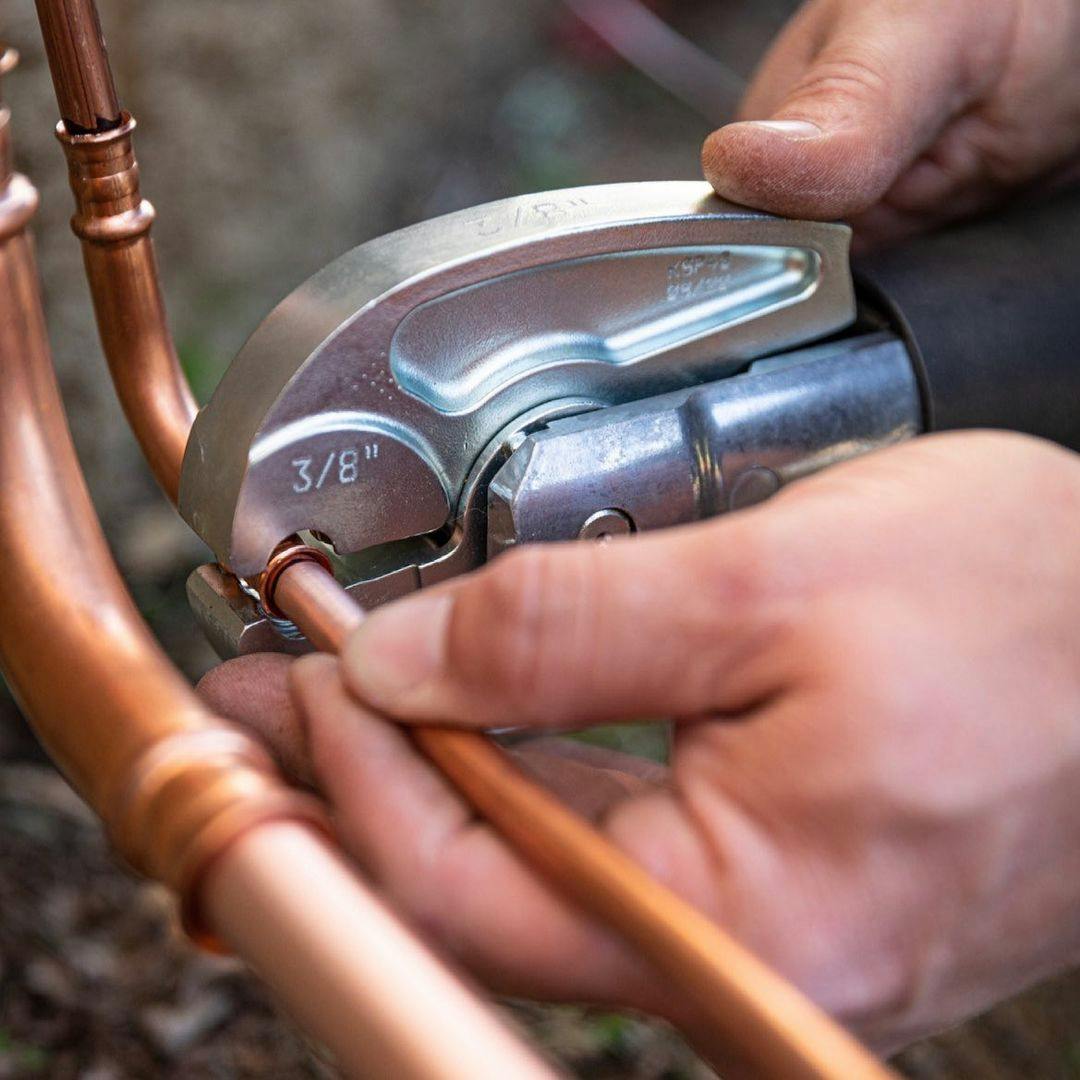 69404e65aed433b5dce7f60c Rls Zacpress1