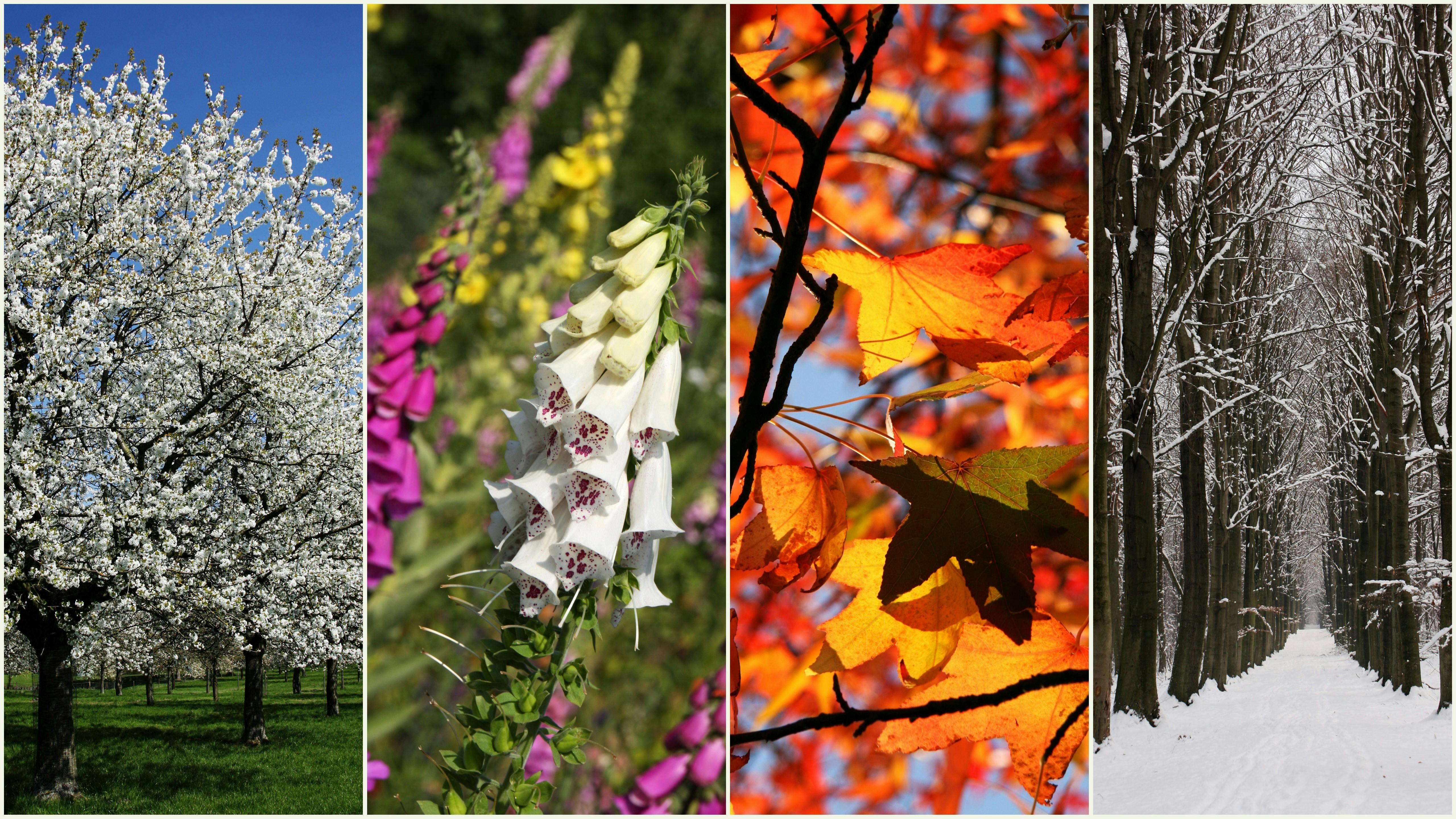 dreamstime_xxl_17507484