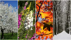 69602625f42e48baa9da4062 Dreamstime Xxl 17507484 69602625f42e48baa9da4062 Dreamstime Xxl 17507484