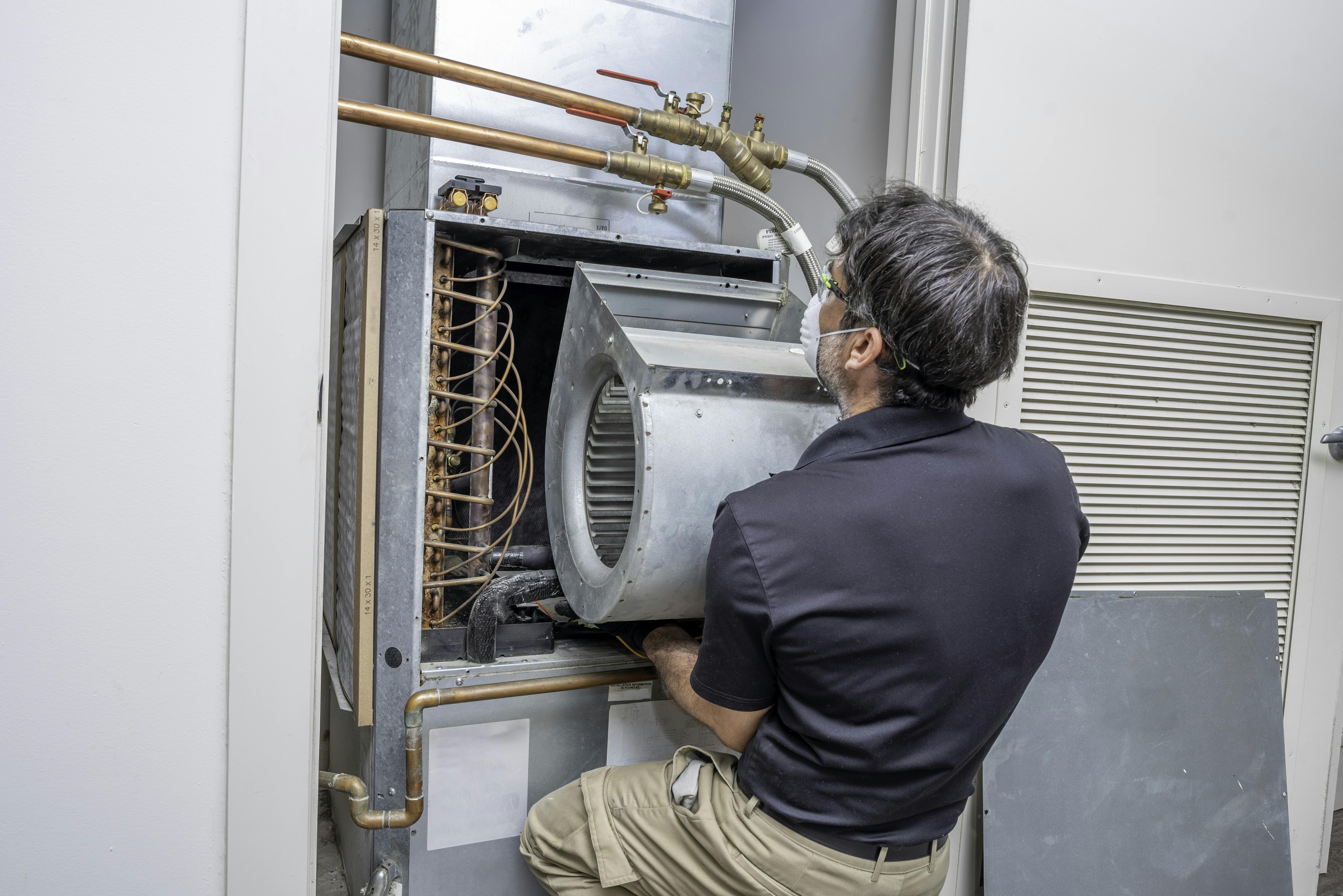 dreamstime_xxl_179458273