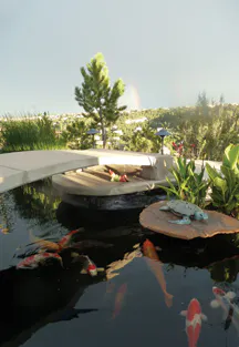 Contractormag Com Sites Contractormag com Files Uploads 2013 07 Koipond2 Contractormag Com Sites Contractormag com Files Uploads 2013 07 Koipond2