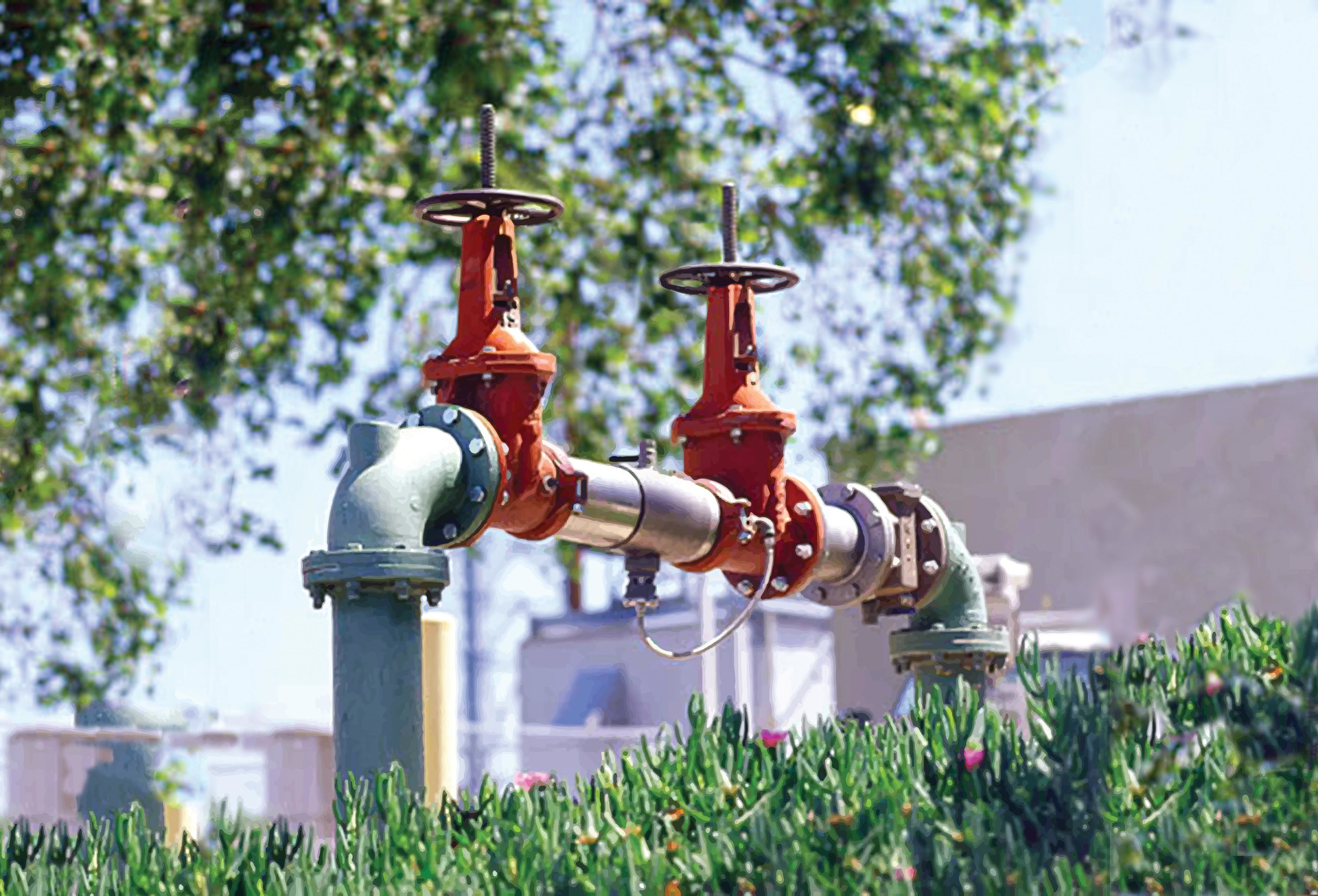 Watts RPZ Backflow Preventer_2-13-19.jpg