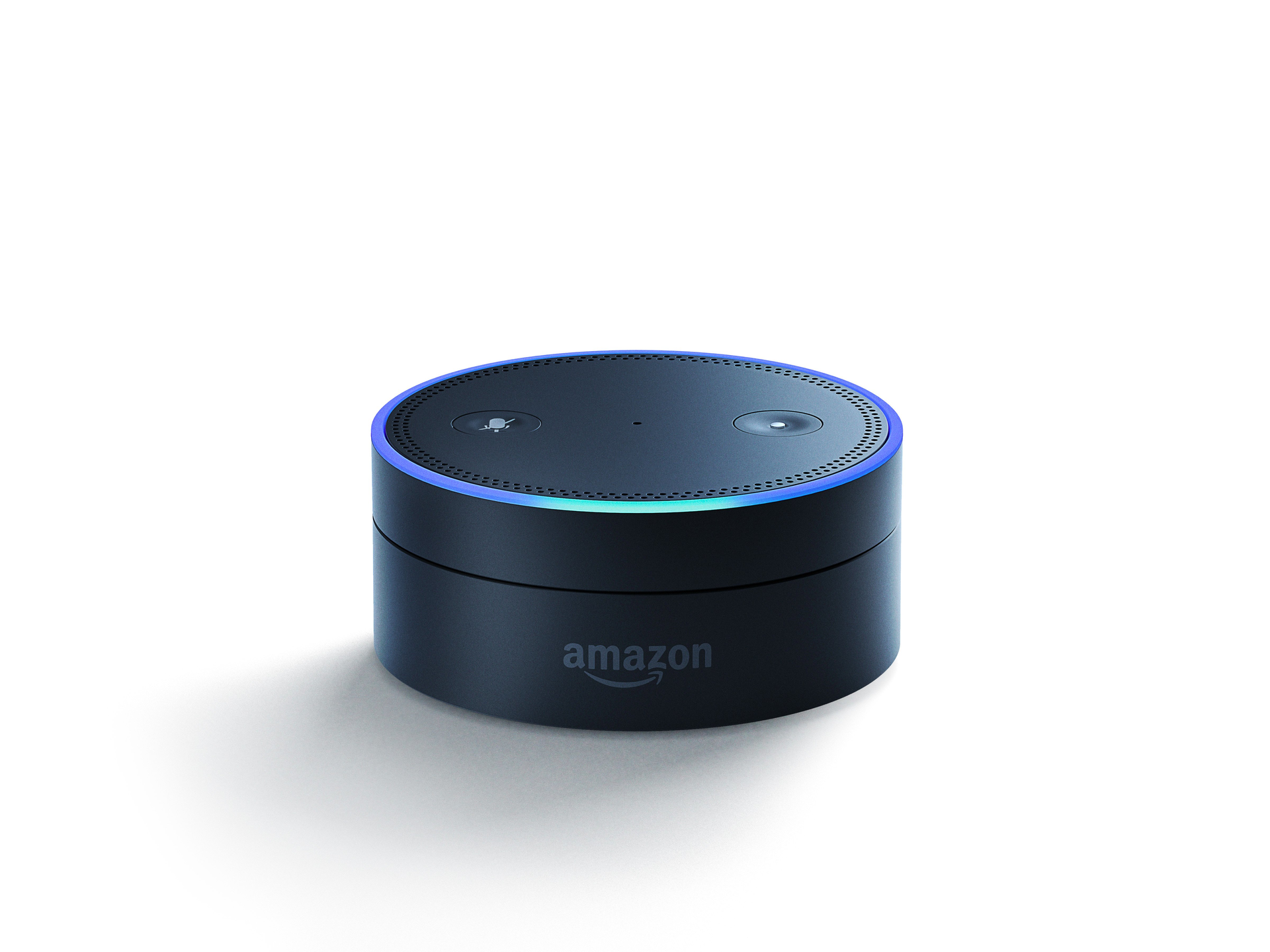 The Amazon Echo