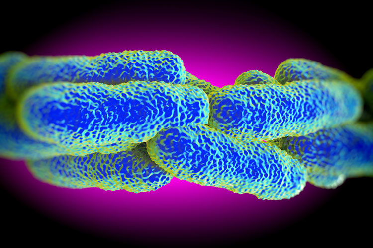 Legionella_bacteria_2018