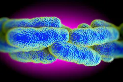 Legionella_bacteria_2018 Legionella_bacteria_2018