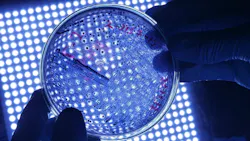 Dreamstime S 144619613 62d5b360dd1ec Dreamstime S 144619613 62d5b360dd1ec