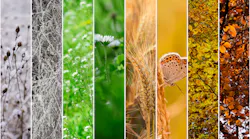 Dreamstime M 37266430 Dreamstime M 37266430