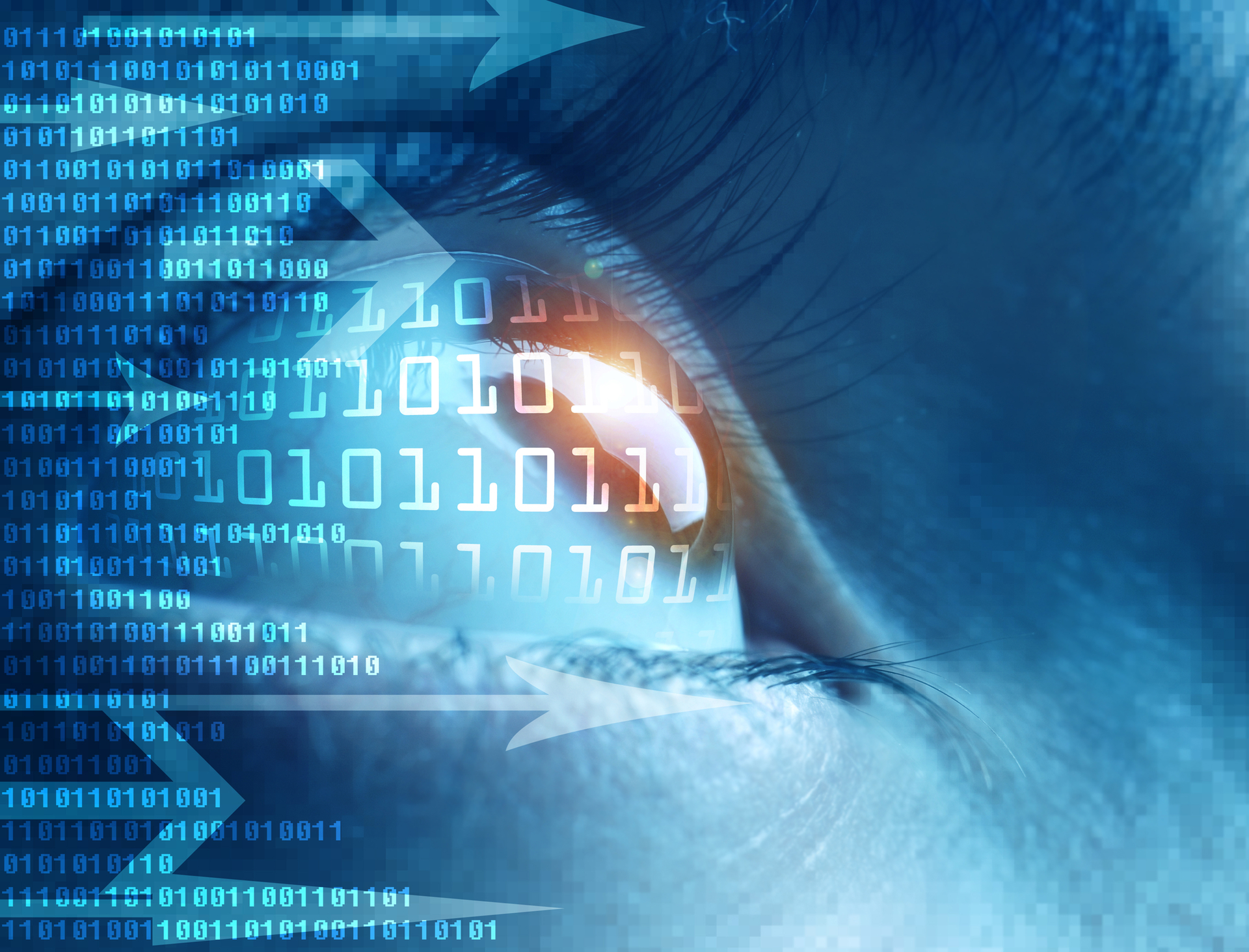 Dreamstime M 8247407