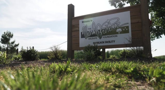 The Ward Burton Wildlife Foundation has helped land owners in Virginia and Pennsylvania conserve over 45,000 acres of land, and owns and manages over 10,000 acres.