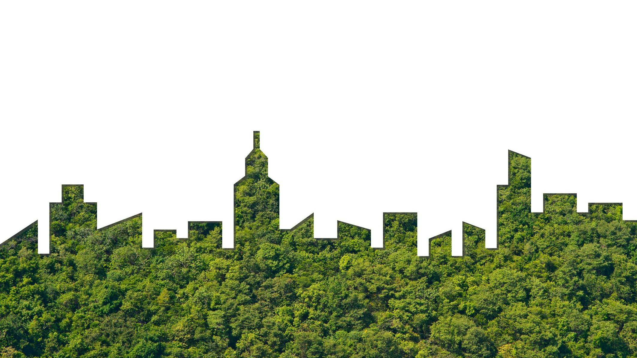 65f4a2b3ae1e14001eb11ce1 Dreamstime M 94867270