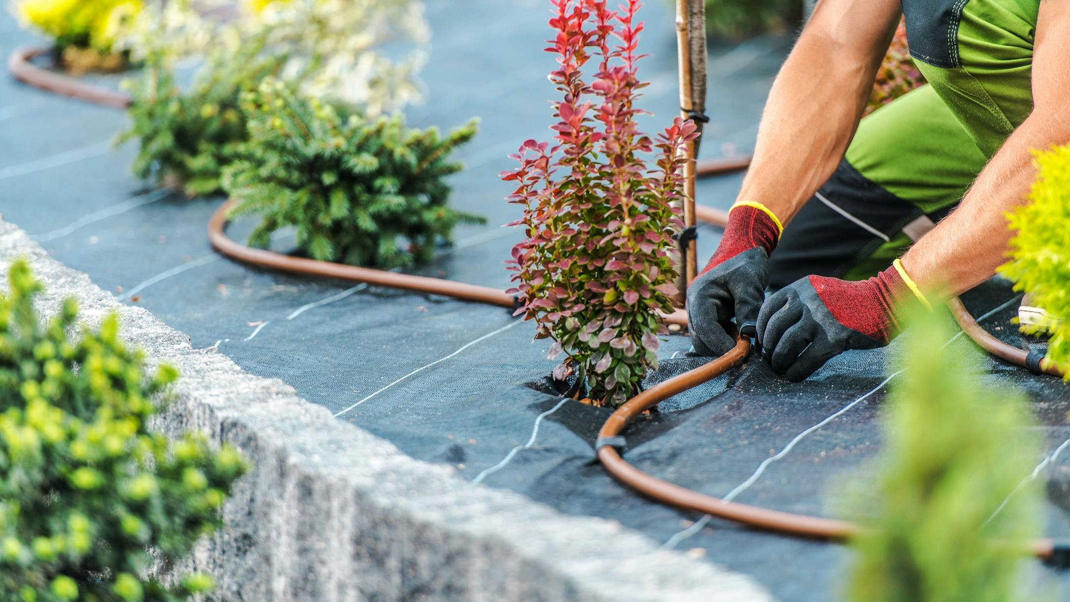 Graywater systems can provide water for non-potable applications such as lawn or landscape irrigation.