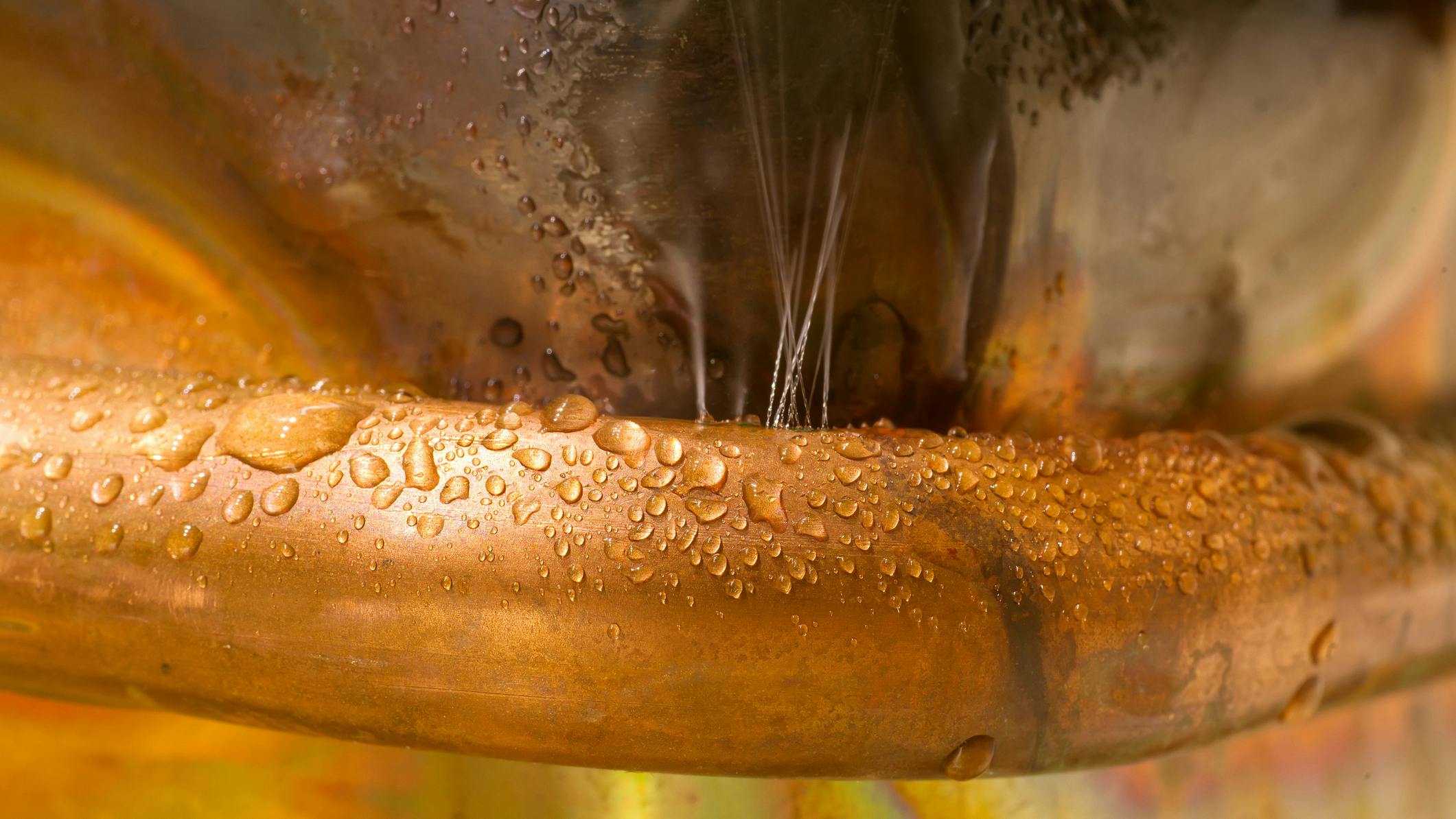 dreamstime_m_76883488